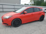 2013 Ford Focus St Красный vin: 1FADP3L96DL155557