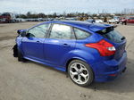 2013 Ford Focus St Синий vin: 1FADP3L96DL330311