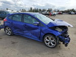 2013 Ford Focus St Blue vin: 1FADP3L96DL330311