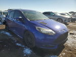 2013 Ford Focus St Синий vin: 1FADP3L96DL351580