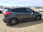 2017 Ford Focus St Gray vin: 1FADP3L96HL235964