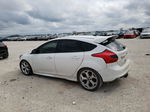 2013 Ford Focus St Белый vin: 1FADP3L98DL136105