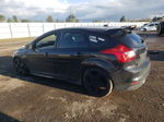 2014 Ford Focus St Черный vin: 1FADP3L98EL399745