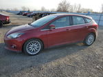 2014 Ford Focus Titanium Red vin: 1FADP3N23EL303729