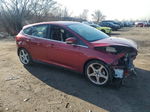 2013 Ford Focus Titanium Бордовый vin: 1FADP3N24DL175368