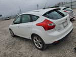 2013 Ford Focus Titanium Белый vin: 1FADP3N26DL132053