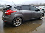 2013 Ford Focus Titanium Gray vin: 1FADP3N27DL274993