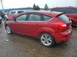 2013 Ford Focus Titanium Красный vin: 1FADP3N2XDL150734