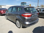 2013 Ford C-max Se Gray vin: 1FADP5AU1DL501498