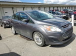 2013 Ford C-max Se Gray vin: 1FADP5AU9DL555843