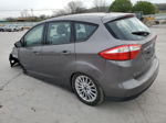 2014 Ford C-max Se Silver vin: 1FADP5AU9EL505803