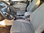 2017 Ford C-max Se vin: 1FADP5AUXHL112736