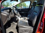 2013 Ford C-max Sel Бордовый vin: 1FADP5BU0DL538492