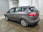 2014 Ford C-max Sel Gray vin: 1FADP5BU0EL517854