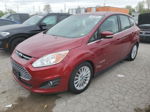 2013 Ford C-max Sel Красный vin: 1FADP5BU3DL525140