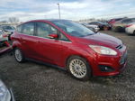 2013 Ford C-max Sel Burgundy vin: 1FADP5BU8DL509404