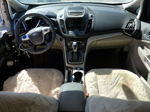 2013 Ford C-max Premium Белый vin: 1FADP5CU1DL537835