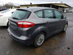 2014 Ford C-max Premium Серый vin: 1FADP5CU1EL500950