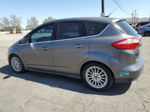 2013 Ford C-max Premium Угольный vin: 1FADP5CU4DL509947