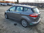 2014 Ford C-max Premium Gray vin: 1FADP5CU4EL507097