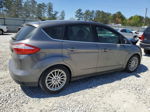 2013 Ford C-max Premium Серый vin: 1FADP5CU9DL516215