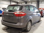 2013 Ford C-max Premium Угольный vin: 1FADP5CU9DL516795