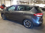 2017 Ford C-max Titanium Серый vin: 1FADP5FU2HL104395