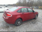 2011 Ford Focus Se Red vin: 1FAHP3FN1BW142009