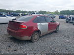 2011 Ford Focus Se Red vin: 1FAHP3FN4BW142540