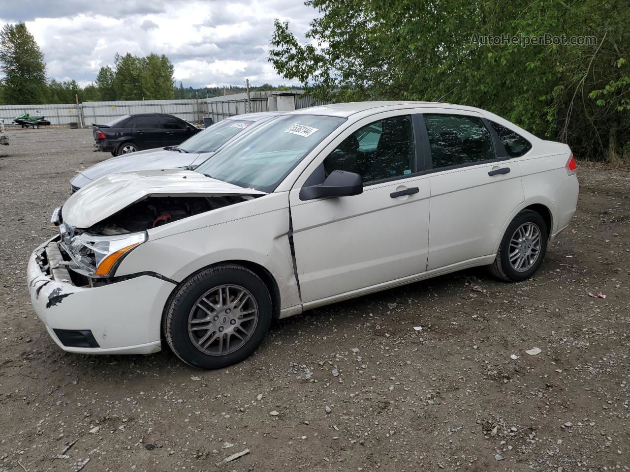 2011 Ford Focus Se Белый vin: 1FAHP3FN5BW124662