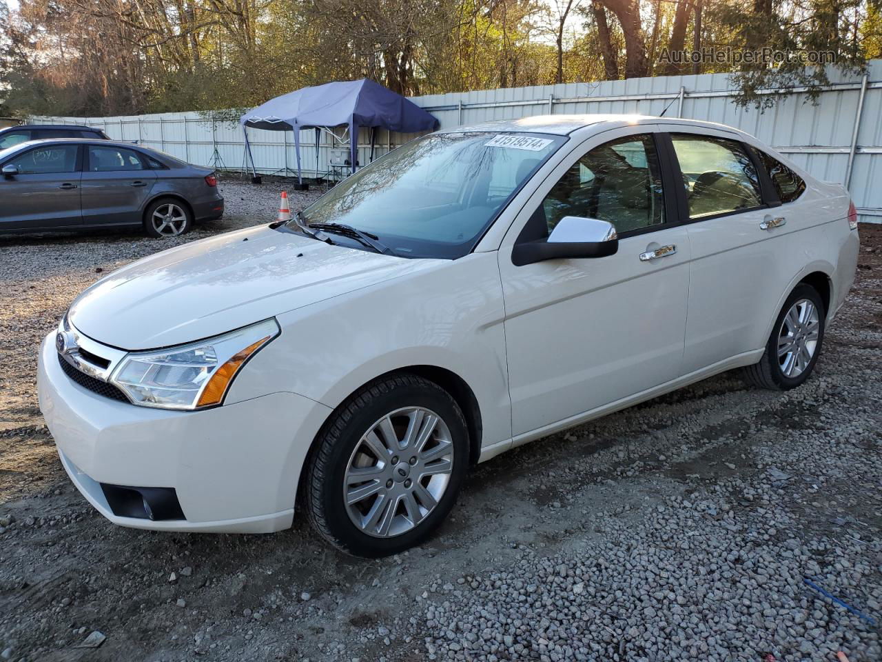 2011 Ford Focus Sel White vin: 1FAHP3HN2BW124387