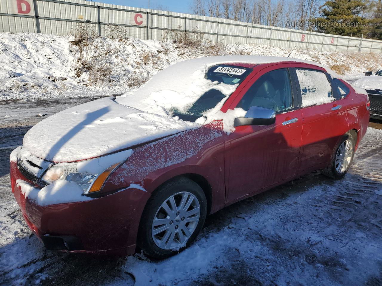 2011 Ford Focus Sel Red vin: 1FAHP3HNXBW164460