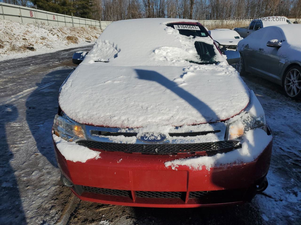 2011 Ford Focus Sel Red vin: 1FAHP3HNXBW164460