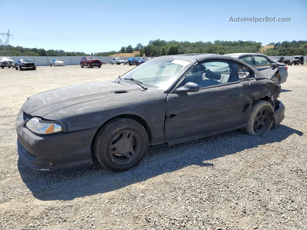 1997 Ford Mustang  Черный vin: 1FALP4049VF169303