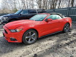 2015 Ford Mustang  Red vin: 1FATP8EM0F5404419