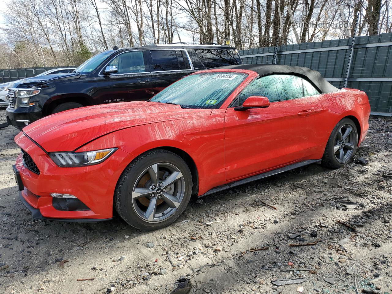 2015 Ford Mustang  Красный vin: 1FATP8EM0F5404419