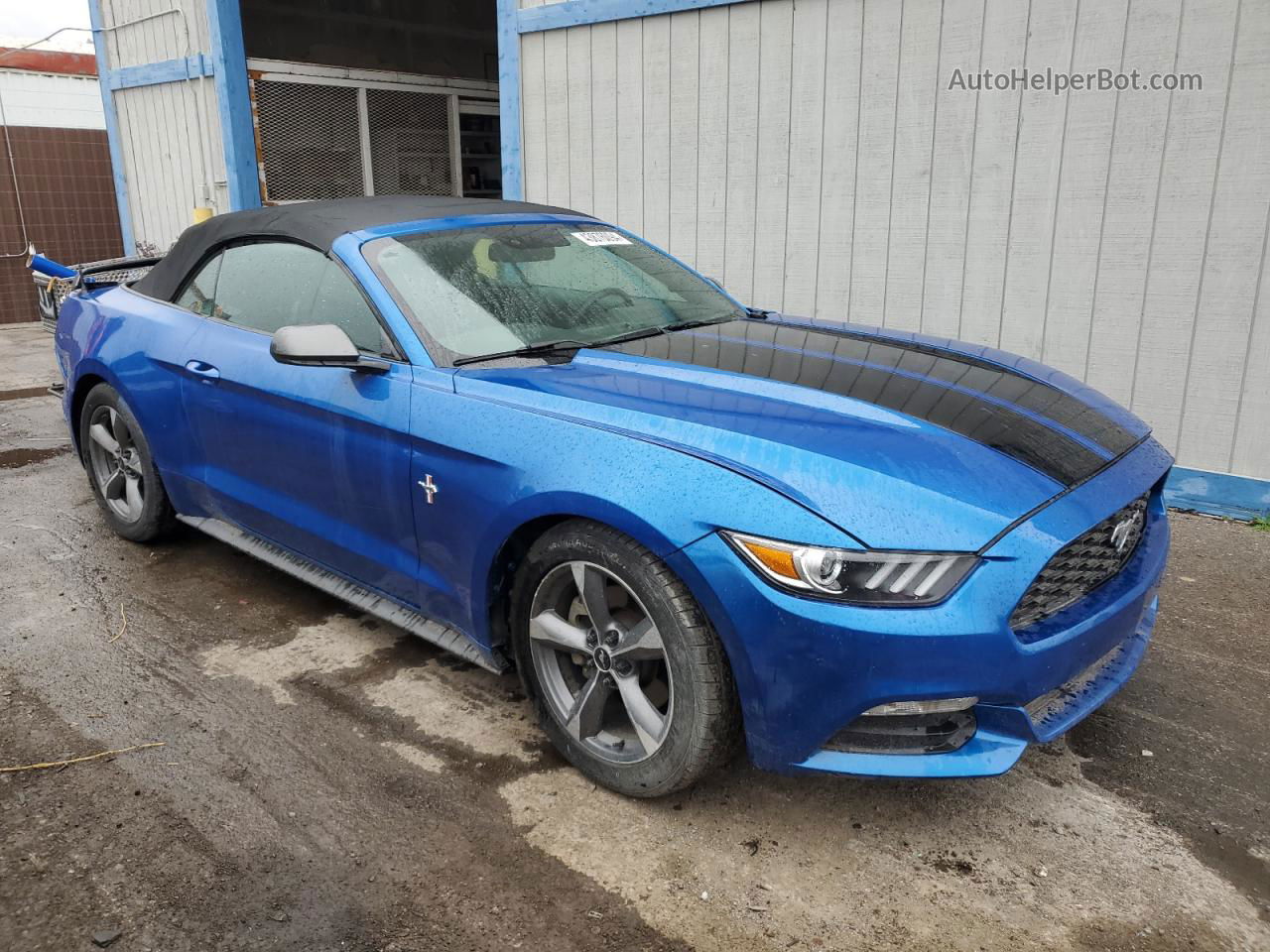 2016 Ford Mustang Blue vin: 1FATP8EM4G5243428