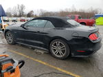 2015 Ford Mustang Gt Black vin: 1FATP8FF0F5362365