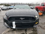 2015 Ford Mustang Gt Black vin: 1FATP8FF0F5362365