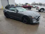 2020 Ford Mustang Gt Gray vin: 1FATP8FF7L5151692
