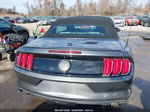 2015 Ford Mustang Gt Premium Gray vin: 1FATP8FF8F5365319