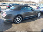 2015 Ford Mustang Gt Premium Gray vin: 1FATP8FF8F5365319