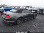 2020 Ford Mustang Gt Premium Black vin: 1FATP8FFXL5136667