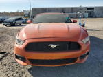 2015 Ford Mustang  Orange vin: 1FATP8UH0F5396696