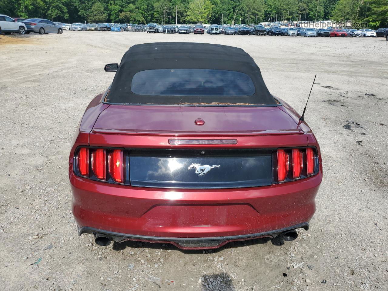 2016 Ford Mustang  Red vin: 1FATP8UH0G5216490