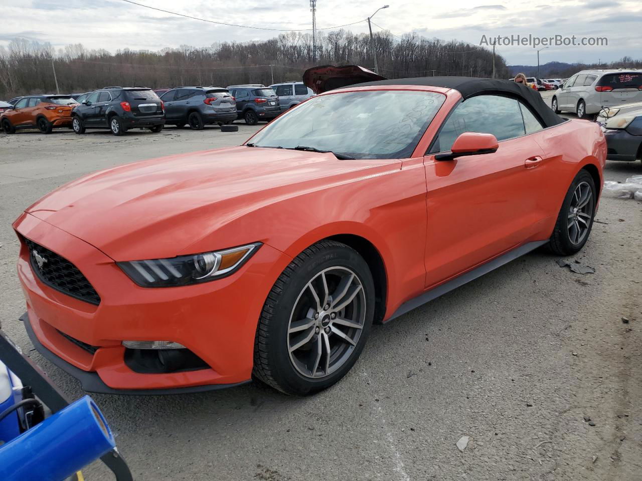 2016 Ford Mustang  Orange vin: 1FATP8UH1G5284829