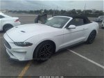 2019 Ford Mustang Ecoboost White vin: 1FATP8UH1K5153361