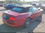 2016 Ford Mustang Ecoboost Premium Red vin: 1FATP8UH4G5216492