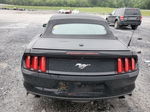 2016 Ford Mustang  Black vin: 1FATP8UH4G5221899