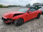 2020 Ford Mustang  Red vin: 1FATP8UH5L5101460